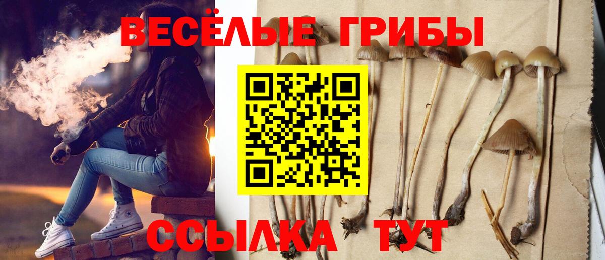Галлюциногенные грибы прущие грибы  Галлюциногенные грибы ЛСД  Кирово-Чепецк  Вход с VPN 