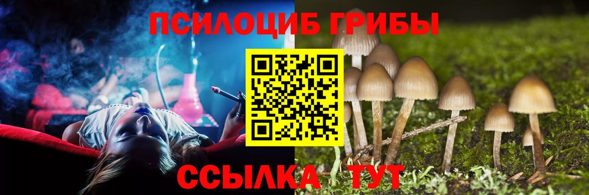 Галлюциногенные грибы GOLDEN TEACHER Кирово-Чепецк
